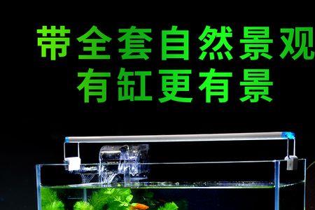 超白缸水位有什么要求
