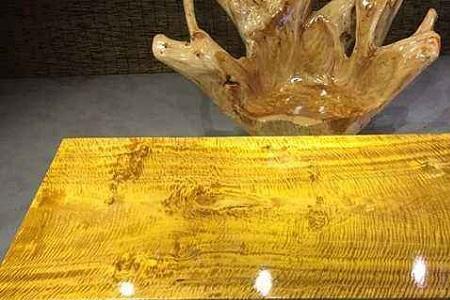 金丝楠木湖南适合种植吗
