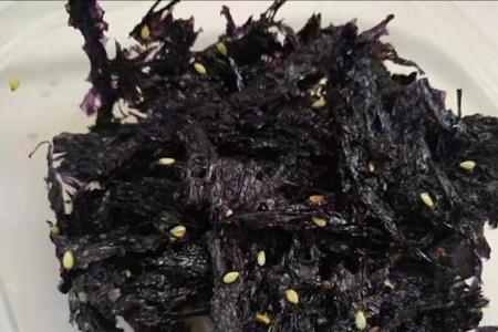 海鱼可以喂哪种紫菜