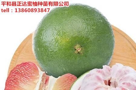 青柚与黑柚的区别