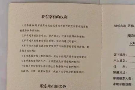 所属集体经济组织名称是填什么