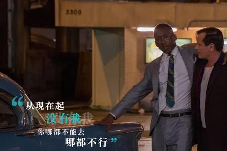 绿皮书哪年拍摄的