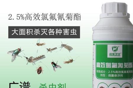 高效氯氰菊酯杀苍蝇怎么兑水
