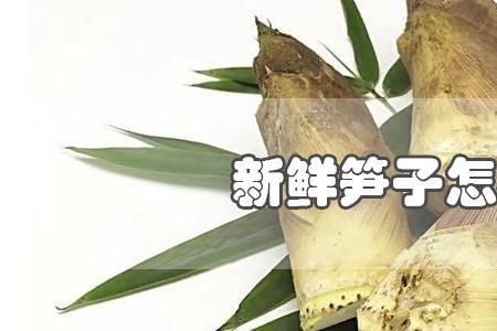 竹芛砍断还会生根发芽吗