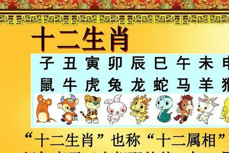 皓月当空是什么生肖