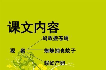 昆虫迷指什么样的人