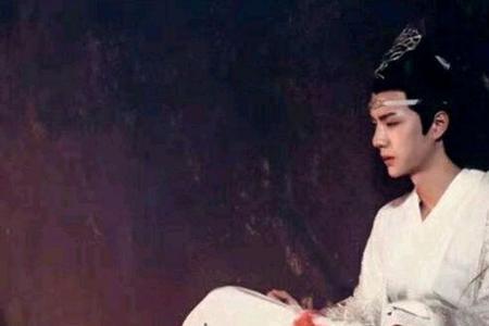 为什么叫蓝忘机叫婉君