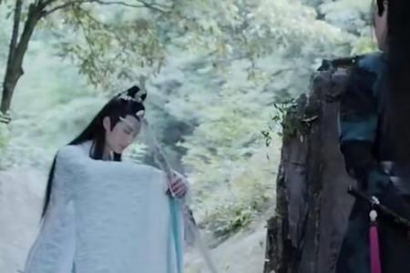 陈情令仙督夫人有喜完结