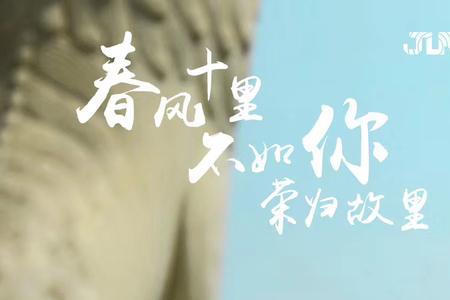 待你荣归故里怎么配下一句~