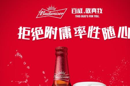 百威生啤说明