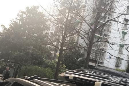 拓乐为什么那么贵