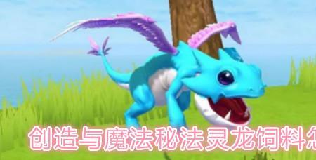 灵龙发音
