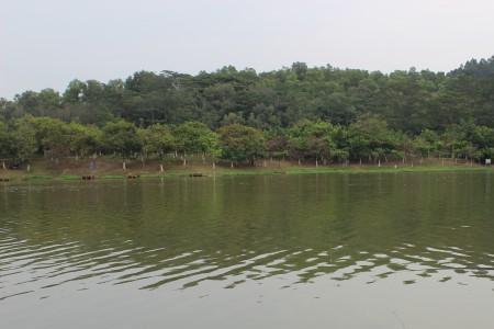 兴元湖公园能钓鱼吗
