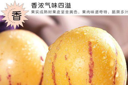 四大长寿水果