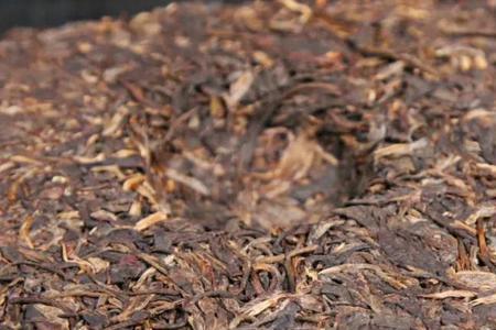 八八七普洱茶贵吗