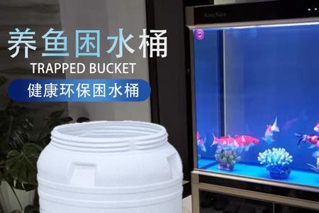 大胶桶养鱼最佳方法