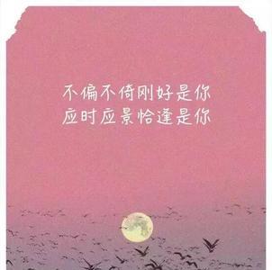 什么酒烈又温柔