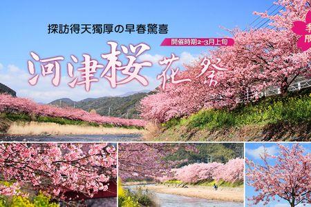 河津樱和染井吉野区别