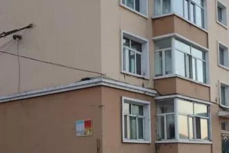 老旧小区改造含新建楼房吗