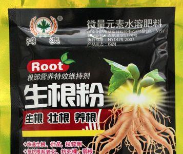 生根粉配什么肥料效果最好