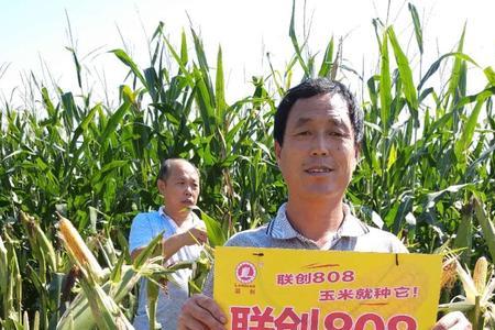 联创2022年最高产的玉米种