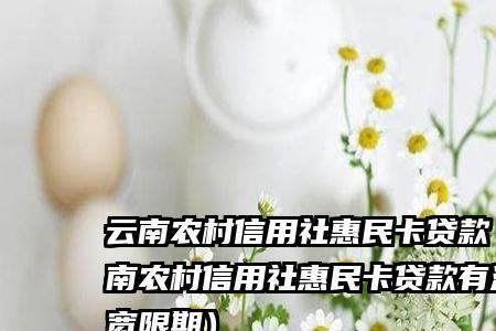 信用社惠民卡利率多少