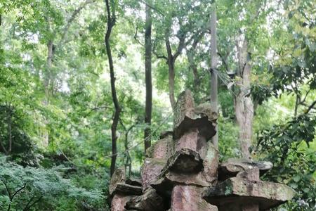 杭州葛岭山名称来由