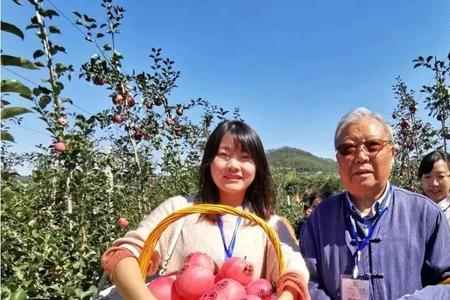 2022年灵宝苹果节在什么时候