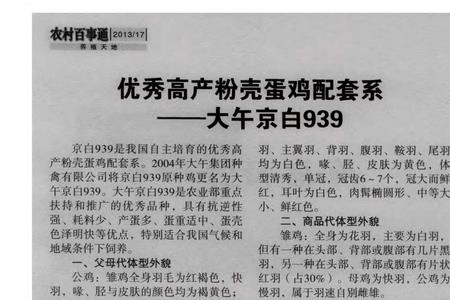 粉八和大午粉蛋哪种好吃