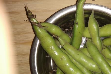 菜豆和蚕豆是一样的吗