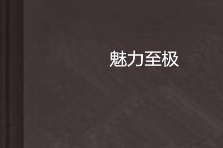极富魅力是什么意思