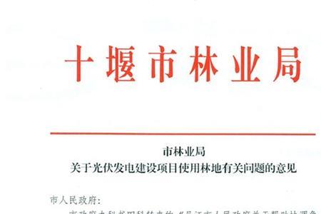 有意见是什么意思