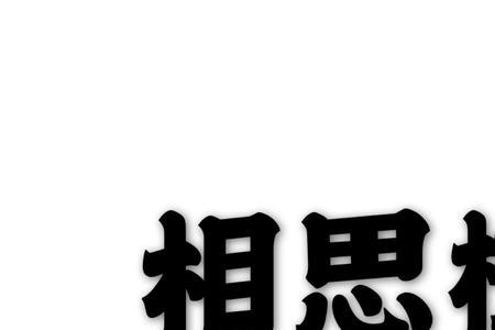相思树是红木吗