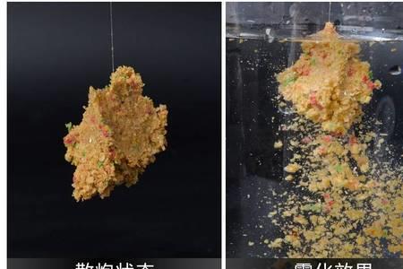 鲫鱼散炮和鲤鱼散炮有区别吗