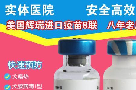 卫佳五和卫佳八的区别