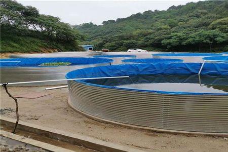 人工养鱼池每平方能养多少斤