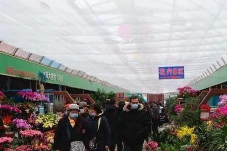 济南富莱花卉市场营业时间