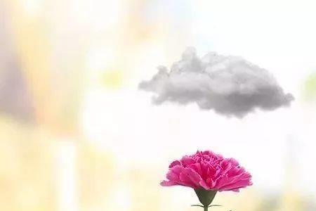 人格品性是什么意思