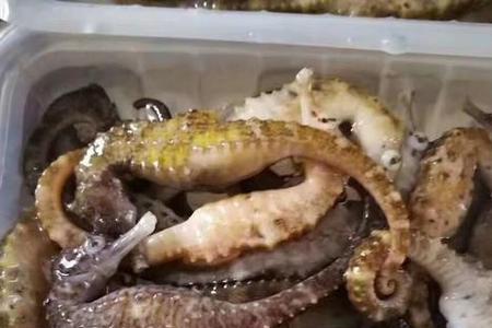 新鲜海母怎么处理