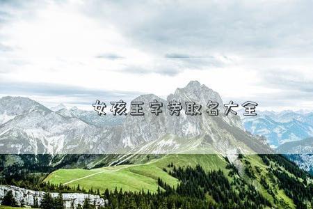 女孩起名王什么两个字