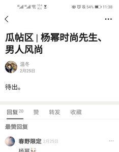 伪粉什么意思