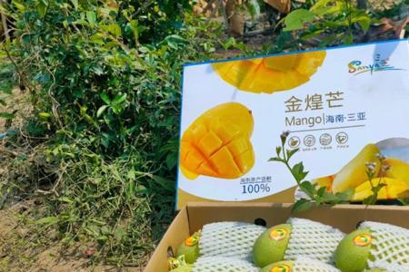 三亚芒果上市时间表
