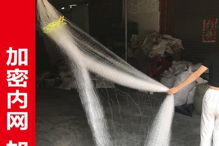 10米高粘网收网技巧