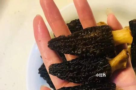 羊肚菌放久了能吃吗