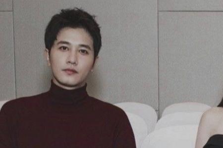 掌中之物何妍怀了几个孩子