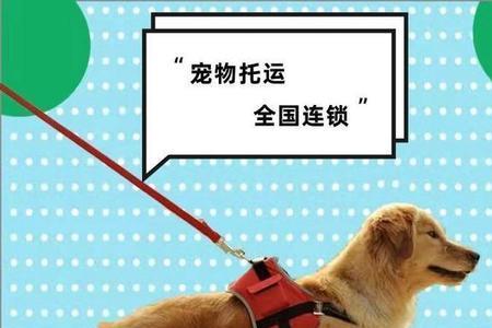 买狗托运费都是自己出吗