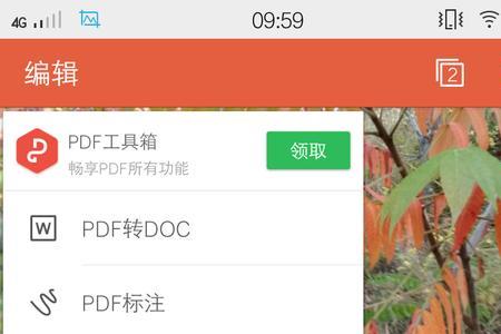 wps随行是什么