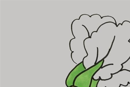冬天青菜地简笔画