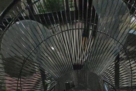 格力风扇为什么风一会大一会小