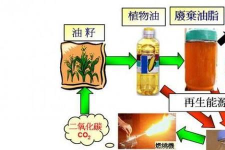 生物油和液化气能否同时用